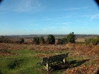 Ashdown Forest